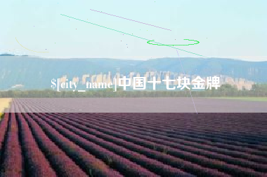 天津中国十七块金牌