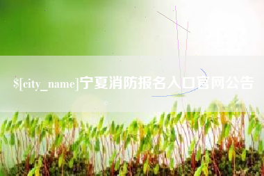 天津宁夏消防报名入口官网公告
