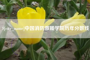 天津中国消防救援学院历年分数线