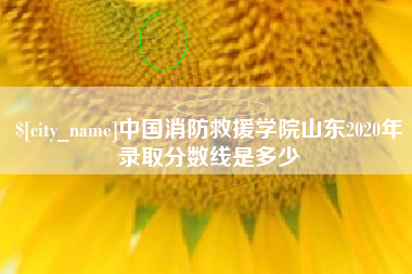 天津中国消防救援学院山东2020年录取分数线是多少