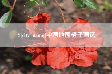 天津中国地图格子画法