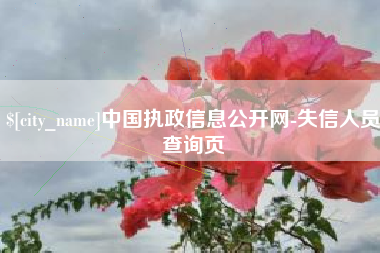 天津中国执政信息公开网-失信人员查询页