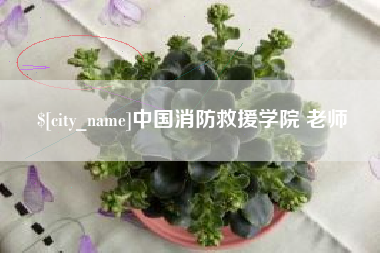 天津中国消防救援学院 老师