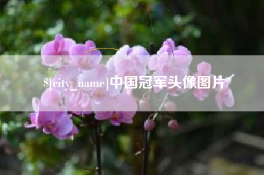 天津中国冠军头像图片