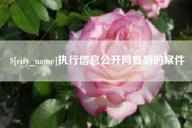 天津执行信息公开网查到的案件