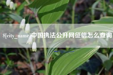 天津中国执法公开网征信怎么查询