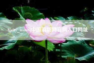 天津中国消防网官网入口网址