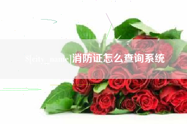 天津消防证怎么查询系统