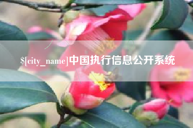 天津中国执行信息公开系统
