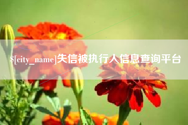 天津失信被执行人信息查询平台