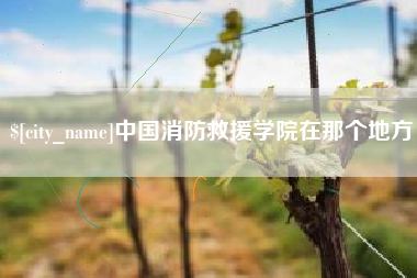 天津中国消防救援学院在那个地方