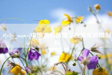 天津中国消防救援学院有年龄限制吗