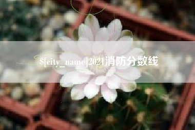 天津2021消防分数线