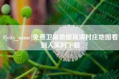 天津免费卫星地图高清村庄地图看到人实时下载