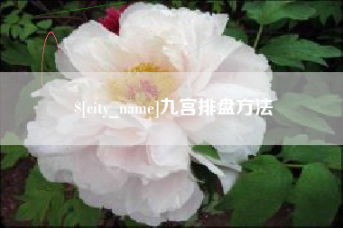 天津九宫排盘方法