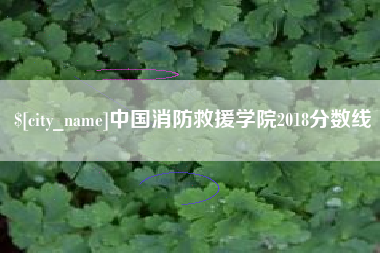 天津中国消防救援学院2018分数线