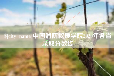 天津中国消防救援学院2020年各省录取分数线