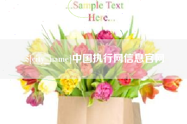 天津中国执行网信息官网