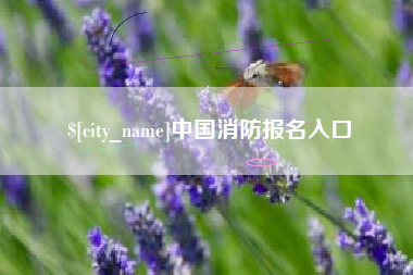 天津中国消防报名入口