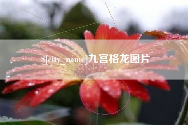 天津九宫格龙图片