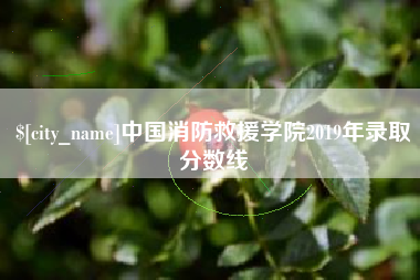天津中国消防救援学院2019年录取分数线