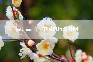 天津“中国执行公开网”