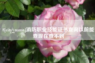 天津消防职业技能证书查询以前能查现在查不到