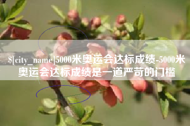 天津5000米奥运会达标成绩-5000米奥运会达标成绩是一道严苛的门槛