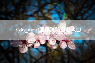 天津国家消防报名入口