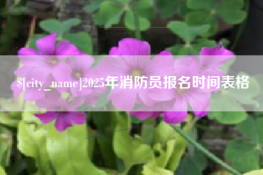 天津2025年消防员报名时间表格