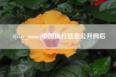 天津中国执行信息公开网后