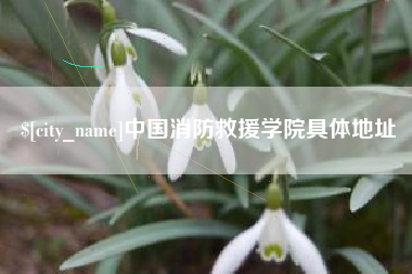 天津中国消防救援学院具体地址