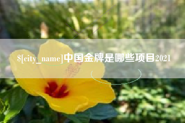 天津中国金牌是哪些项目2021