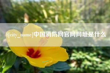 天津中国消防网官网网址是什么