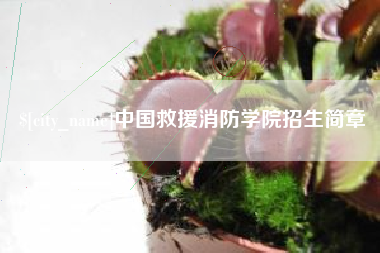 天津中国救援消防学院招生简章