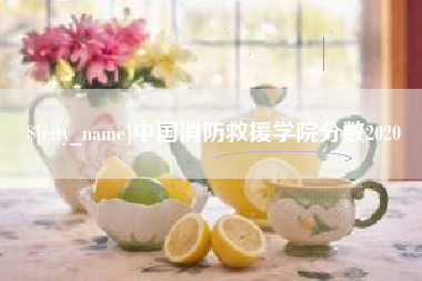 天津中国消防救援学院分数2020