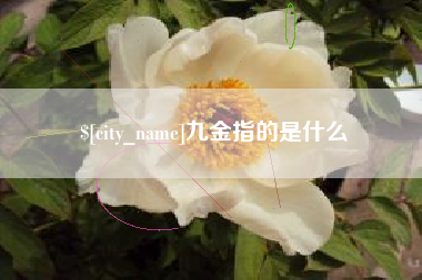 天津九金指的是什么