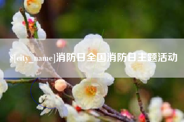 天津消防日全国消防日主题活动