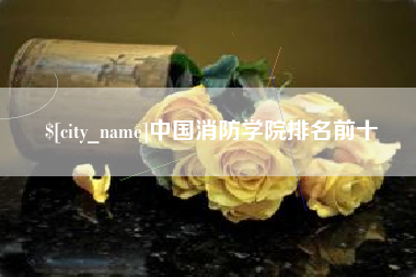 天津中国消防学院排名前十