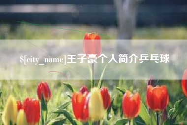 天津王子豪个人简介乒乓球