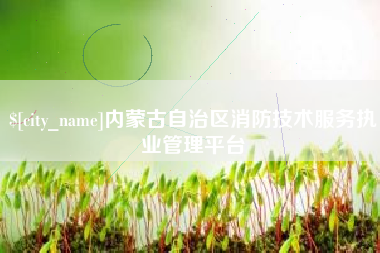 天津内蒙古自治区消防技术服务执业管理平台