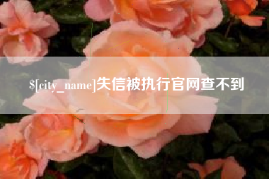 天津失信被执行官网查不到