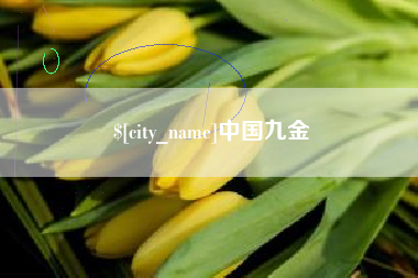 天津中国九金