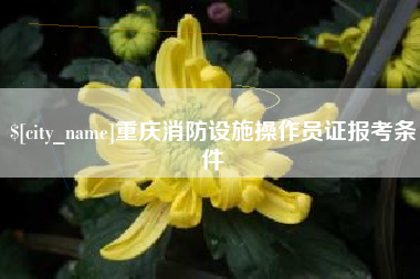 天津重庆消防设施操作员证报考条件