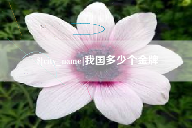 天津我国多少个金牌