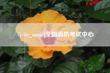 天津全国消防考试中心
