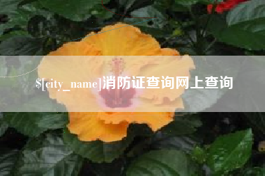 天津消防证查询网上查询