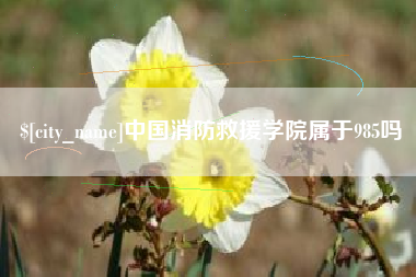 天津中国消防救援学院属于985吗