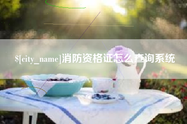 天津消防资格证怎么查询系统