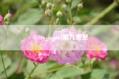 天津第九金是